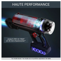 Rowenta Aspirateur balai X-Force Flex 9.60 Kit Animal RH2078WO
