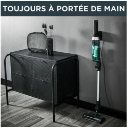 Aspirateur à main Rowenta X-NANO RH1127W0 Vert