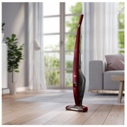 Aspirateur balai Electrolux Ultrapower EUP82WRM