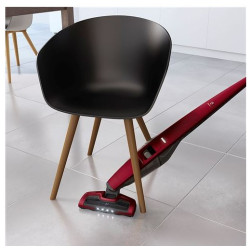 Aspirateur balai Electrolux Ultrapower EUP82WRM