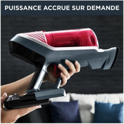 Aspirateur balai X-Force Flex 8.60 Animal Kit