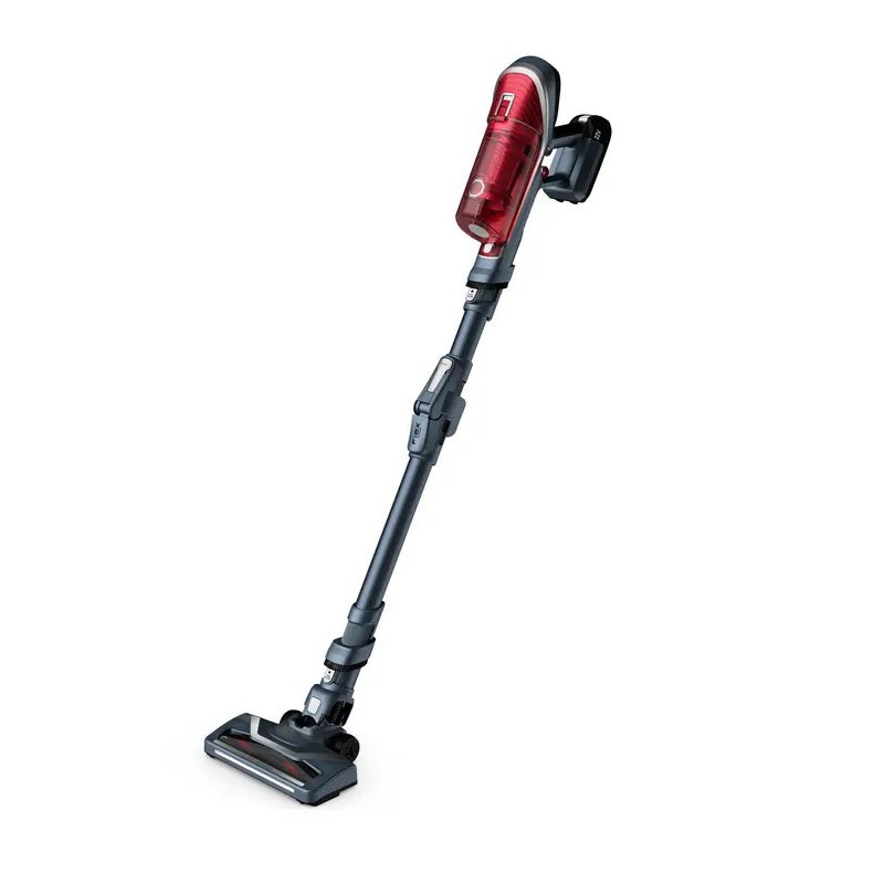 Aspirateur balai X-Force Flex 8.60 Animal Kit