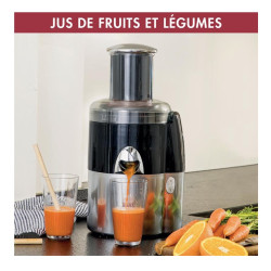 Extracteur de jus MAGIMIX 18082F Juice Expert 3 Chrome