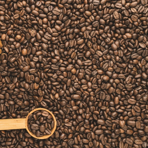 Café en grains vs capsules : Quel broyeur choisir pour faire des économies ?
