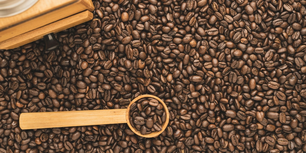 Café en grains vs capsules : Quel broyeur choisir pour faire des économies ?